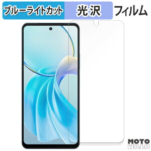 �y�|�C���g2�{�z �ی�t�B���� vivo Y100t 5G ������ �u���[���C�g�J�b�g �t�B���� ����d�l ���{��