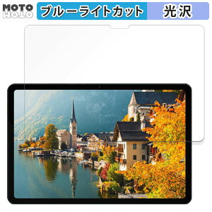 �ی�t�B���� DOOGEE T30 Ultra ������ �u���[���C�g�J�b�g �t�B���� ����d�l ���{��