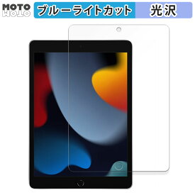 保護フィルム Apple iPad ( 第9世代 ) 2021 10.2インチ 向けの ブルーライトカット フィルム 光沢仕様 日本製