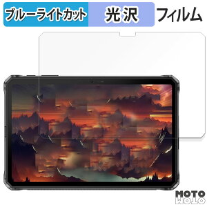 �y�|�C���g2�{�z �ی�t�B���� DOOGEE R20 ������ �u���[���C�g�J�b�g �t�B���� ����d�l ���{��