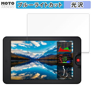 y|Cg2{z یtB OSEE G7 / OSEE T7  u[CgJbg tB dl {