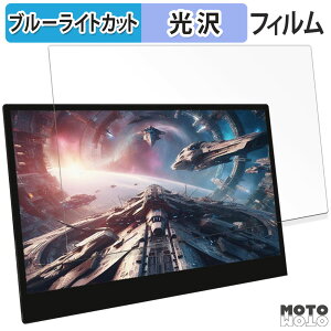 �y�|�C���g2�{�z �ی�t�B���� WINTEN WT-133RTO4-BK ������ �u���[���C�g�J�b�g �t�B���� ����d�l ���{��