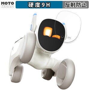 �K���X�t�B���� (�ɔ��t�@�C�o�[) Loona (���[�i) ������ �t�B���� 9H���d�x �A���`�O���A ���{��