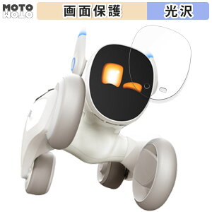 �ی�t�B���� Loona (���[�i) ������ �t�� �ی�t�B���� ����d�l ���{��