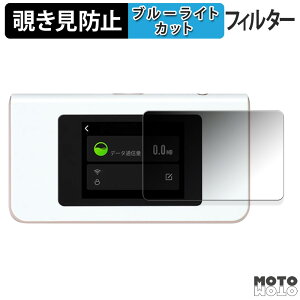 180�x �̂������h�~ �t�B���� HUNDRED Wi-Fi Buy AIR-1 ( �G�A�[���� ) ������ �u���[���C�g�J�b�g �A���`�O���A ���{��