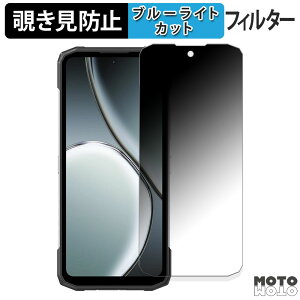 180�x �`�����h�~�t�B���� DOOGEE Blade10 Max ( ���C���f�B�X�v���C ) ������ �u���[���C�g�J�b�g �A���`�O���A ���{��