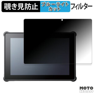 �y�|�C���g2�{�z 180�x �̂������h�~ �t�B���� HAGIWARA Solutions ZEROSHOCK TABLET BIZ LZ-WD10/W2 ������ �u���[���C�g�J�b�g �A���`�O���A ���{��