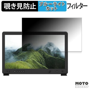 OSEE Mega 22S  21.5C` 16:9 `h~ vCoV[tB^[ u[CgJbg یtB A`OA ^uESV[