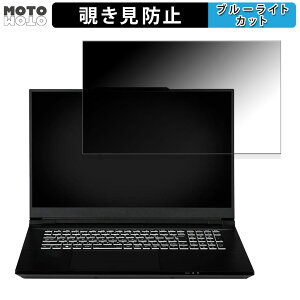 �y�|�C���g2�{�z iiyama LEVEL-17WG181-i7-VL5X 17.3�C���` 16:9 ������ �`�����h�~ �v���C�o�V�[�t�B���^�[ �u���[���C�g�J�b�g �ی�t�B���� �^�u�E�S���V�[����
