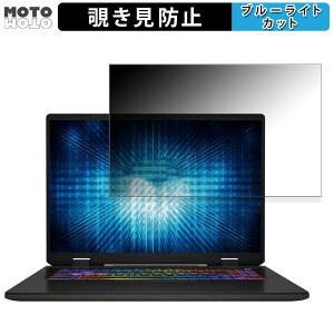 MSI Sword 17 HX B14V 17�C���` 16:10 ������ �`�����h�~ �v���C�o�V�[�t�B���^�[ �u���[���C�g�J�b�g �ی�t�B���� �^�u�E�S���V�[����