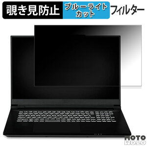 iiyama LEVEL-17WG181-i7-VL6X 17.3�C���` 16:9 ������ �`�����h�~ �v���C�o�V�[�t�B���^�[ �u���[���C�g�J�b�g �ی�t�B���� �^�u�E�S���V�[����