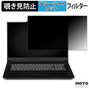 iiyama LEVEL-17WG181-i7-VL2X-RIDDLE 17.3C` 16:9  `h~ vCoV[tB^[ u[CgJbg یtB ^uESV[