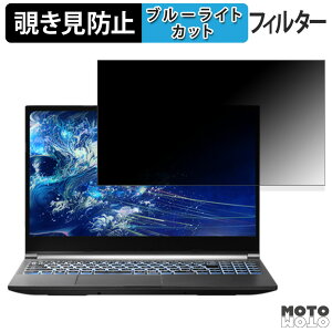 THIRDWAVE raytrek R5-RL6R 15.6C` 16:9  `h~ vCoV[tB^[ u[CgJbg یtB ^uESV[