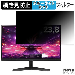 �y�y�V�X�[�p�[SALE �|�C���g2�{�z LG 24GS60F-B ������ 23.8�C���` 16:9 �`�����h�~ �v���C�o�V�[�t�B���^�[ �u���[���C�g�J�b�g �ی�t�B���� �A���`�O���A �^�u�E�S���V�[����