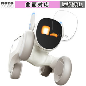 �ی�t�B���� Loona (���[�i) ������ �t�B���� �ȖʑΉ� �A���`�O���A ���{��