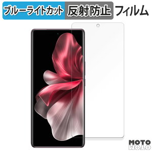 �ی�t�B���� vivo V40 Lite 5G ������ �u���[���C�g�J�b�g �t�B���� �ȖʑΉ� �A���`�O���A ���{��