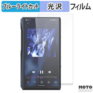 �ی�t�B���� FIIO M23 / M23 Stainless Steel ������ �u���[���C�g�J�b�g �t�B���� �ȖʑΉ� ����d�l ���{��