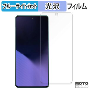 �y�|�C���g2�{�z �ی�t�B���� Xiaomi POCO X6 Neo 5G ������ �u���[���C�g�J�b�g �t�B���� �ȖʑΉ� ����d�l ���{��