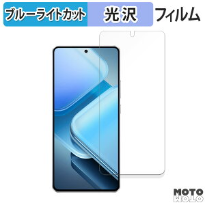 �y�|�C���g2�{�z �ی�t�B���� vivo iQOO Z9 ( V2361A ) ������ ������ �u���[���C�g�J�b�g �t�B���� �ȖʑΉ� ����d�l ���{��