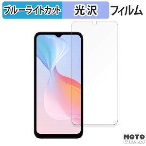 �y�|�C���g2�{�z �ی�t�B���� DOOGEE N55 Pro ������ �u���[���C�g�J�b�g �t�B���� �ȖʑΉ� ����d�l ���{��