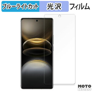 �ی�t�B���� vivo X100 Ultra ������ �u���[���C�g�J�b�g �t�B���� �ȖʑΉ� ����d�l ���{��