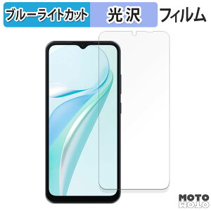 �y�|�C���g2�{�z �ی�t�B���� Blackview WAVE 6C ������ �u���[���C�g�J�b�g �t�B���� �ȖʑΉ� ����d�l ���{��