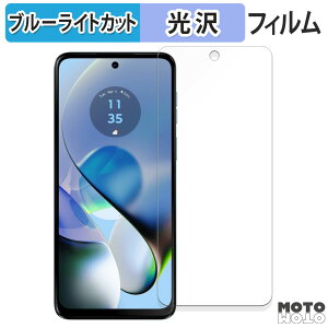 �y�|�C���g2�{�z �ی�t�B���� Motorola moto g64 5G ������ �u���[���C�g�J�b�g �t�B���� �ȖʑΉ� ����d�l ���{��