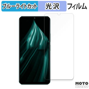 �y�|�C���g2�{�z �ی�t�B���� vivo iQOO Z9 Lite 5G ������ �u���[���C�g�J�b�g �t�B���� �ȖʑΉ� ����d�l ���{��