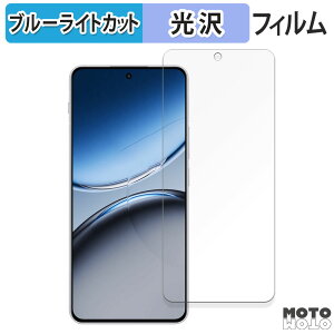 �y�|�C���g2�{�z �ی�t�B���� OnePlus Nord 4 ������ �u���[���C�g�J�b�g �t�B���� �ȖʑΉ� ����d�l ���{��