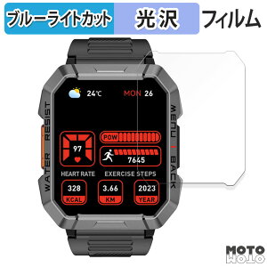 �y�|�C���g2�{�z �ی�t�B���� Blackview w60 ������ �u���[���C�g�J�b�g �t�B���� �ȖʑΉ� ����d�l ���{��