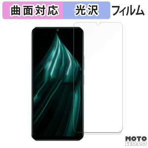 �y�|�C���g2�{�z �ی�t�B���� vivo iQOO Z9 Lite 5G ������ �t�B���� �ȖʑΉ� ����d�l ���{��