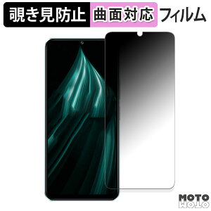 �y�|�C���g2�{�z 180�x �`�����h�~ �t�B����vivo iQOO Z9 Lite 5G ������ �ی�t�B���� �u���[���C�g�J�b�g �ȖʑΉ� �A���`�O���A ���{��
