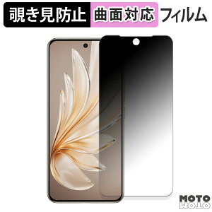 180�x �`�����h�~ �t�B����vivo S20 Pro ������ �ی�t�B���� �u���[���C�g�J�b�g �ȖʑΉ� ����d�l ���{��