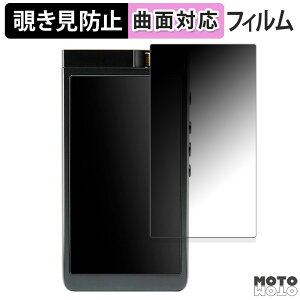 180�x �`�����h�~ �t�B����INFOMEDIA Lotoo PAW GT2 ������ �ی�t�B���� �u���[���C�g�J�b�g �ȖʑΉ� ����d�l ���{��