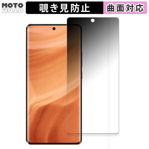 �y�|�C���g2�{�z 180�x �`�����h�~ �t�B����realme GT5 Pro ������ �ی�t�B���� �u���[���C�g�J�b�g �ȖʑΉ� ����d�l ���{��