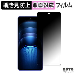 �y�|�C���g2�{�z 180�x �`�����h�~ �t�B����vivo iQOO Neo9S Pro+ ������ �ی�t�B���� �u���[���C�g�J�b�g �ȖʑΉ� ����d�l ���{��