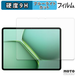 �y�|�C���g2�{�z �ی�t�B���� vivo iQOO Pad5e ������ �u���[���C�g�J�b�g �t�B���� 9H���d�x �A���`�O���A ���{��