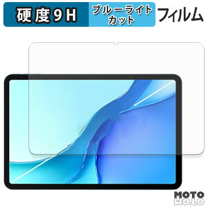 �y�|�C���g2�{�z �ی�t�B���� DOOGEE POCKAM P13 PRO �u���[���C�g�J�b�g �t�B���� 9H���d�x �A���`�O���A ���{��