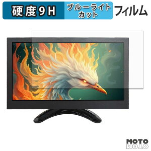 �ی�t�B���� VSDISPLAY VS-H9008 �u���[���C�g�J�b�g �t�B���� 9H���d�x �A���`�O���A ���{��