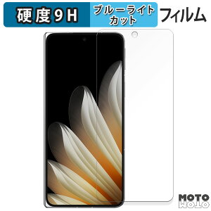 �y�|�C���g2�{�z �ی�t�B���� OPPO Find N5 ( �T�u�f�B�X�v���C ) �u���[���C�g�J�b�g �t�B���� 9H���d�x �A���`�O���A ���{��