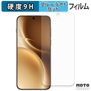 �y�|�C���g2�{�z �ی�t�B���� vivo X300 Pro �u���[���C�g�J�b�g �t�B���� 9H���d�x �A���`�O���A ���{��