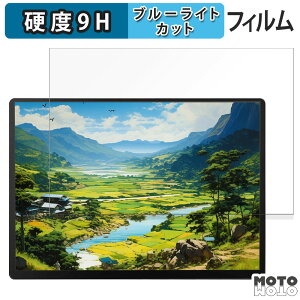 �y�|�C���g2�{�z �ی�t�B���� ZSUS 14�C���` ���o�C�����j�^�[ PM14A-2k ������ �u���[���C�g�J�b�g �t�B���� 9H���d�x �A���`�O���A ���{��