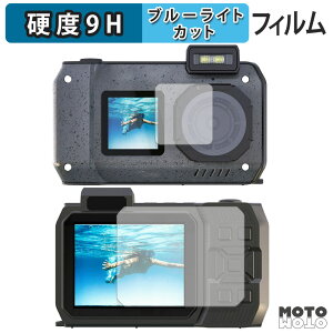 �ی�t�B���� AGFAPHOTO WP9500 ( �O�� / �w�� ) �u���[���C�g�J�b�g �t�B���� 9H���d�x �����ߗ� ���{��