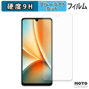 �y�|�C���g2�{�z vivo Y100 ������ �ی�t�B���� 9H���d�x ����d�l �u���[���C�g�J�b�g �t�B���� ���{��