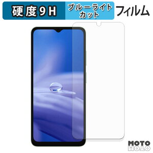 �y�|�C���g2�{�z �ی�t�B���� Ulefone Note 19 �u���[���C�g�J�b�g �t�B���� 9H���d�x ����d�l ���{��