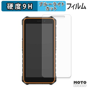 �y�|�C���g2�{�z �ی�t�B���� Ulefone RugKing 2 Pro �u���[���C�g�J�b�g �t�B���� 9H���d�x ����d�l ���{��