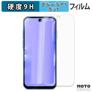 �y�|�C���g2�{�z �ی�t�B���� SOYES XS19 Pro �u���[���C�g�J�b�g �t�B���� 9H���d�x ����d�l ���{��