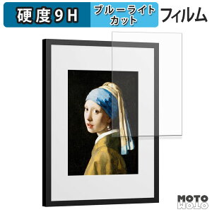 �ی�t�B���� SwitchBot AI�A�[�g�L�����o�X 13.3�C���` �u���[���C�g�J�b�g �t�B���� 9H���d�x ����d�l ���{��