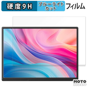 �ی�t�B���� JAPANNEXTJN-MD-IPS105FP �u���[���C�g�J�b�g �t�B���� 9H���d�x ����d�l ���{��