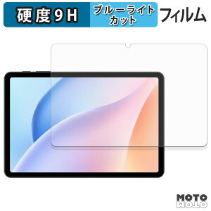 �y�|�C���g2�{�z �ی�t�B���� DOOGEE Tab A9 Pro �u���[���C�g�J�b�g �t�B���� 9H���d�x ����d�l ���{��